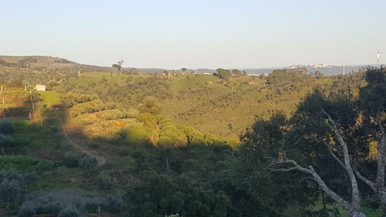 Quinta Do Caneiro - Casa Turismo Rural Constância Eksteriør bilde