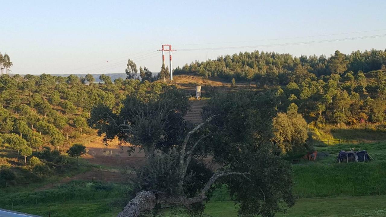 Quinta Do Caneiro - Casa Turismo Rural Constância Eksteriør bilde